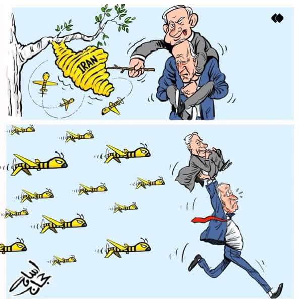 کاریکاتور/ عاقبت طمع به لانه زنبور به روایت کاریکاتوریست اردنی
