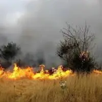 احتمال آتش‌سوزی در مراتع به‌دلیل غنی‌شدن پوشش گیاهی منطقه