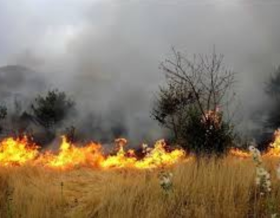 احتمال آتش‌سوزی در مراتع به‌دلیل غنی‌شدن پوشش گیاهی منطقه
