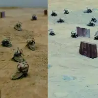 ارتش سوسک‌های رباتیک مجهز به کوله‌پشتی رایانه‌ای در بیابان