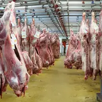 آماری از تورم نقطه به نقطه تولید گوشت قرمز در کشور 