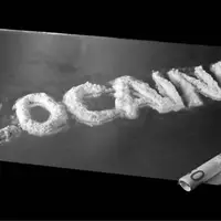 دستگیری یکی از سرکردگان تبلیغ و فروش کوکائین در فضای مجازی