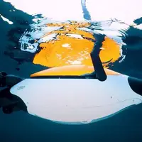 پنگوئن رباتیک با سرعت و چالاکی در زیر آب حرکت می‌کند