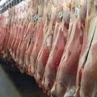  واردات گوشت قرمز از ۷ کشور؛ گوشت ارزان می شود؟