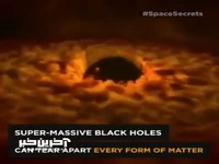 شببه‌سازی صحنه جالب از برخورد دو سیاهچاله!!    