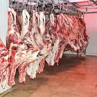 واردات گوشت گرم از آفریقا به کشور