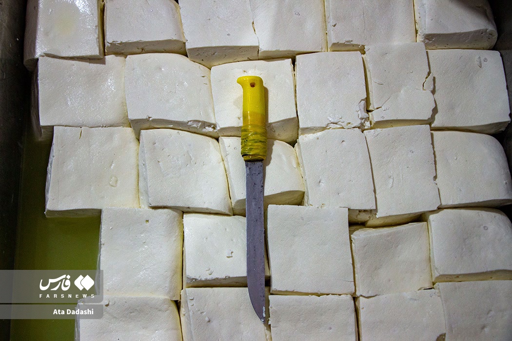 لیقوان ، قطب پنیرسازی کشور