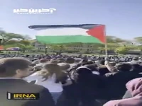 تجمع دانشجویان حامی فلسطین در آمریکا 