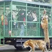 باغ وحشی که در آن حیوانات آزاد اما انسان‌ها در قفس هستند!