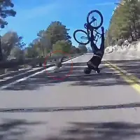 لحظه برخورد دوچرخه سوار با گوزن در جاده