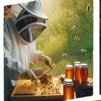 کندوی پول ساز | چطور محصولی مثل عسل را صادر کنیم؟