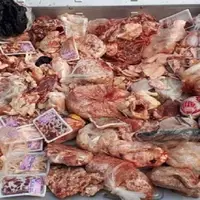 ۲۵۰ کیلوگرم مواد خام دامی غیر قابل‌مصرف در زنجان توقیف شد
