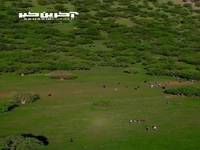 زمین فوتبال ناب در ارتفاعات پاوه روستای دشه
