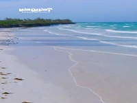 سواحل زنگبار؛ مکان های دیدنی با شن های مرجانی