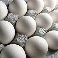 نگاهی به بازار تخم مرغ در اردیبهشت ماه