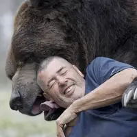 کشتی گرفتن یک مرد با خرس غول پیکر