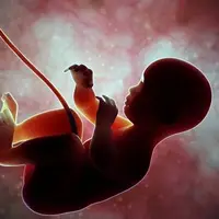 جلوگیری از ۳ هزار سقط عمد جنین سالم در کشور