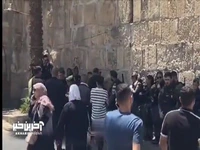 بازرسی نمازگزاران فلسطینی توسط نیروهای رژیم اشغالگر پیش از ورود به مسجد الاقصی