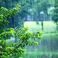 ثبت ۱۱۲ میلی‌متری باران در رومشکان