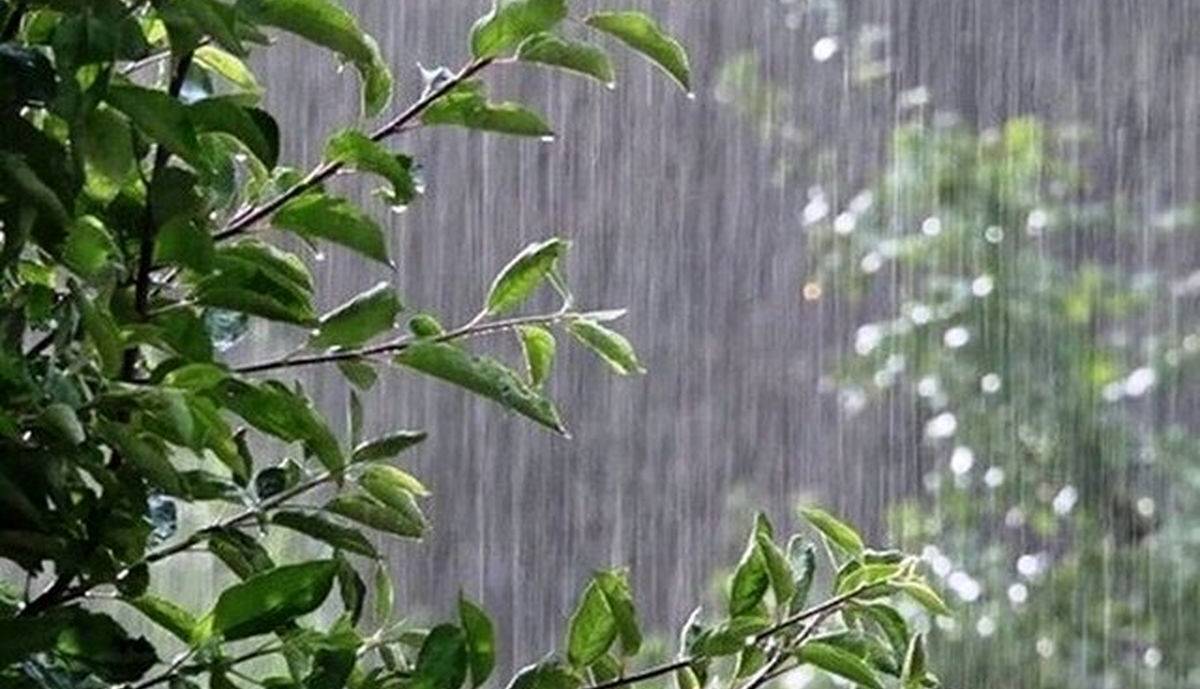 بارش‌های بهاری جاده‌های خراسان رضوی را فرا گرفت؛ سیلاب در مسیر بردسکن_عشق‌آباد