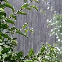 بارش‌های بهاری جاده‌های خراسان رضوی را فرا گرفت؛ سیلاب در مسیر بردسکن_عشق‌آباد