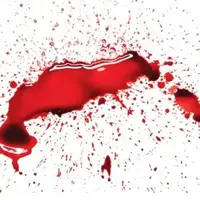 قتل زن و مرد میانسال در جنوب تهران 