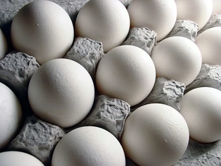 آخرین وضعیت قیمت تخم‌مرغ در میادین میوه و تره‌بار