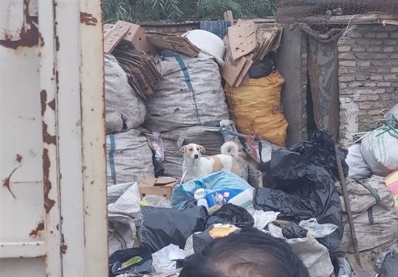 کشف دوباره ده‌ها تن زباله از خانه‌ای در بجنورد!