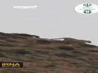 مشاهده یک پلنگ ایرانی در منطقه حفاظت‌شده سبزکوه چهارمحال‌وبختیاری