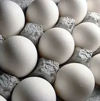 آخرین وضعیت قیمت تخم‌مرغ در میادین میوه و تره‌بار