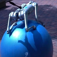 کمک انویدیا به سگ‌های رباتیک برای حفظ تعادل حتی روی توپ بادی