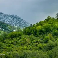 نمایی زیبا از جنگل های هیرکانی دومین میراث طبیعی  ایران بعد از کویر لوت