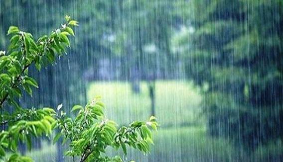 افزایش 12 درصدی میانگین بارندگی در لرستان