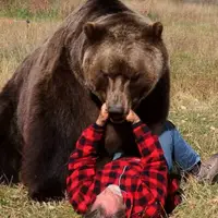 وقتی یک خرس میشه حیوون خونگیت