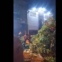 وزش باد شدید منجر به سقوط درختان سطح شهر خرم‌آباد شد
