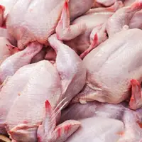 هدفگذاری صادرات یک هزار تن مرغ در اصفهان