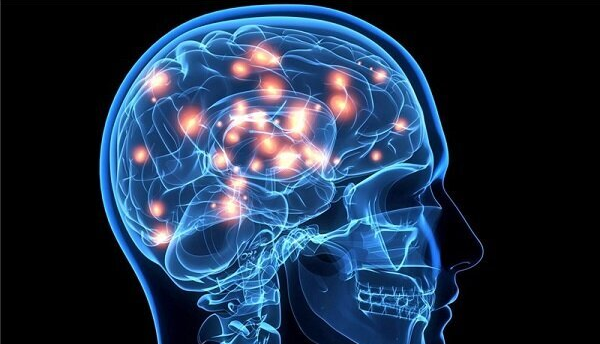 کشف جی پی اس در مغز انسان