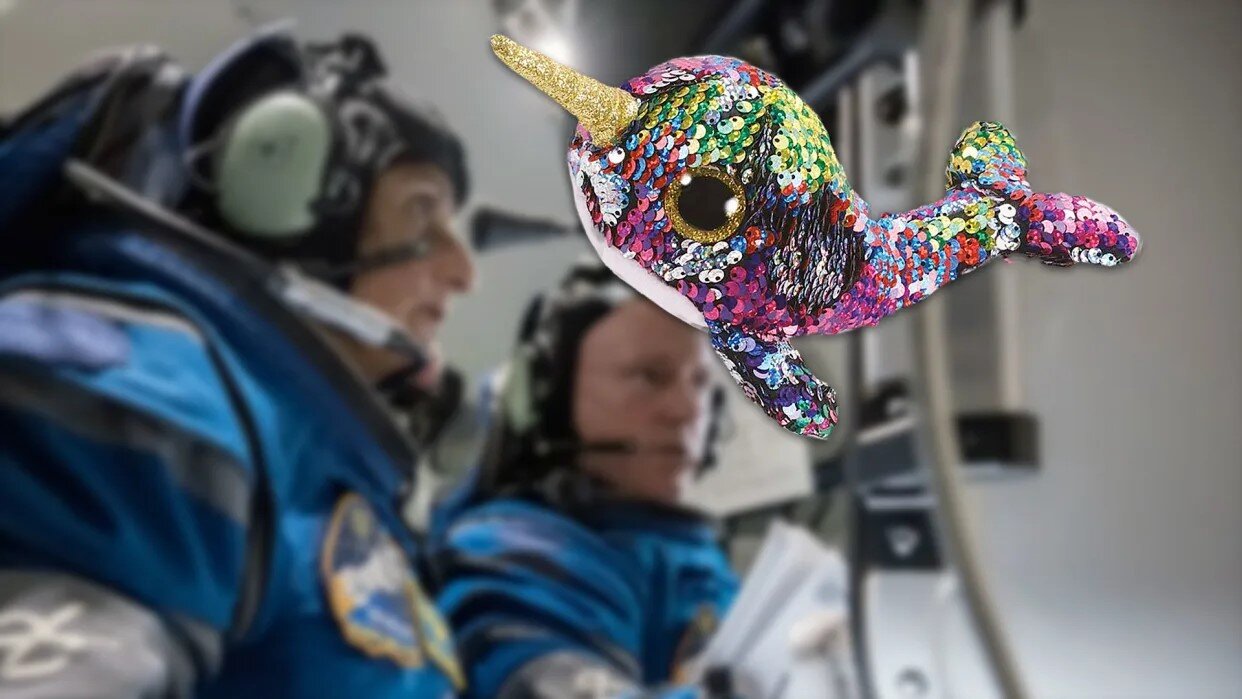 نهنگ تک‌شاخ، تازه‌ترین عروسک ریزگرانشی ناسا