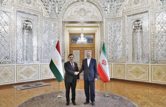 باقری: همکاری ایران و تاجیکستان برای مقابله با تروریسم ضروری است