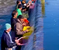 ماهیگیری پس از سرریز شدن دریاچه زریبار مریوان