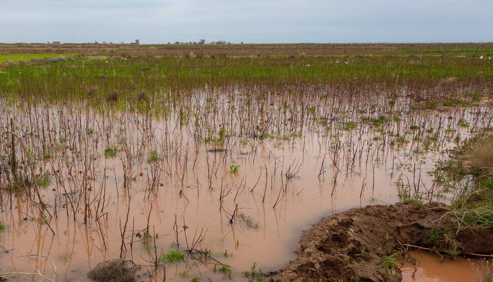 خسارت سنگین سیل اخیر به کشاورزی خراسان شمالی