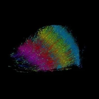 ساخت نقشه سه‌بعدی جدید مغز انسان توسط دانشمندان هاروارد و گوگل