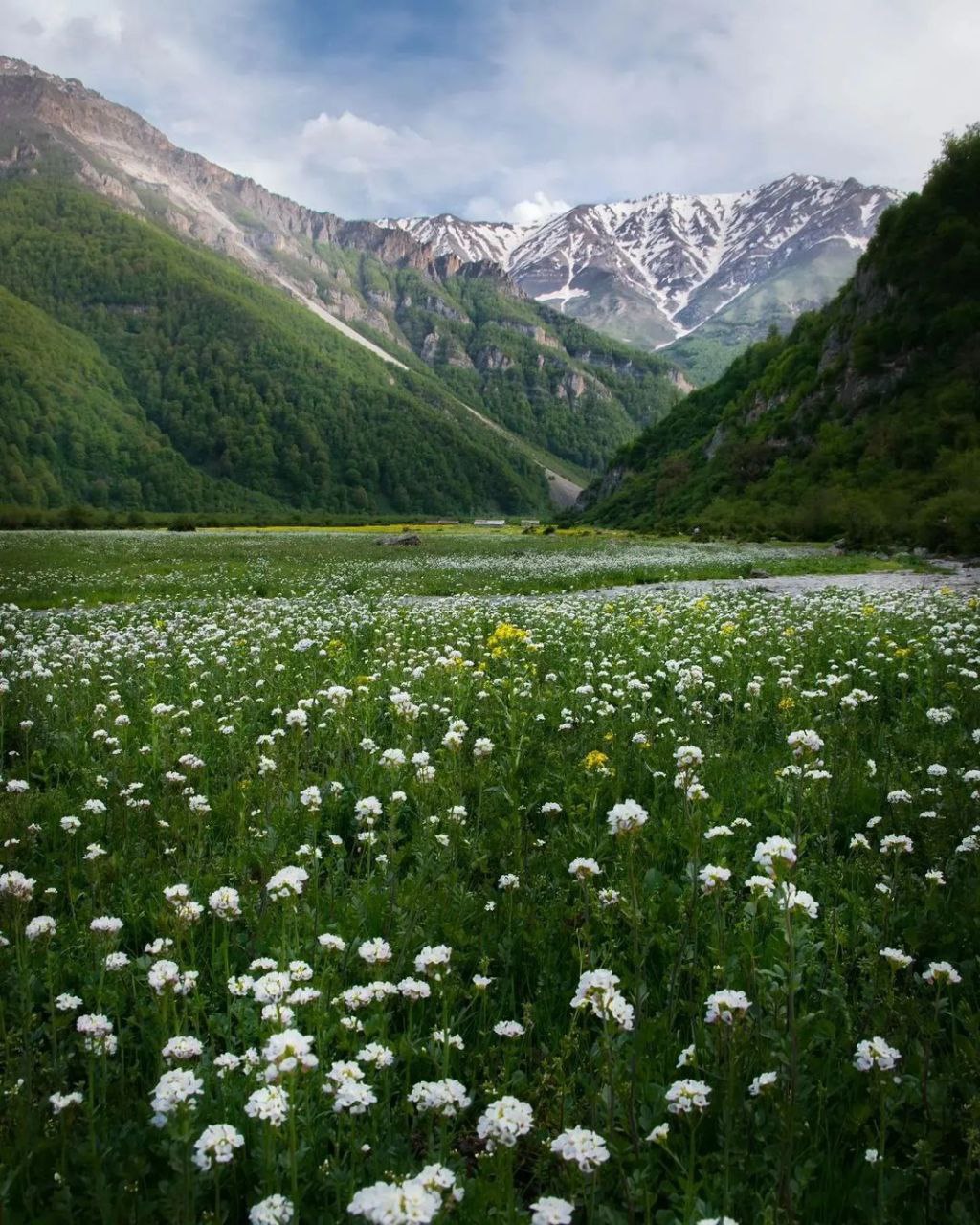 زیبایی های دشت دریاسر  