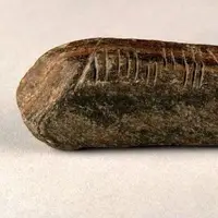 4گوشه دنیا/ سنگی با نوشته‌های ۱۶۰۰ ساله که در باغچه خانه پیدا شد!