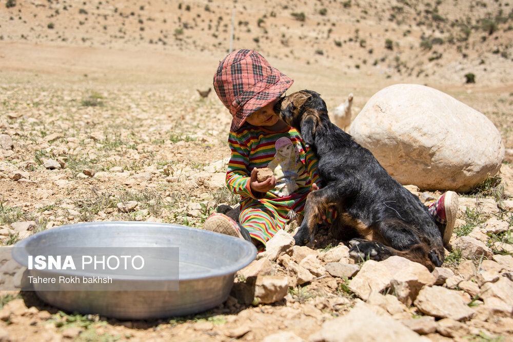 عکس/ تصاویری زیبا از زندگی خانواده عشایری در استان فارس  