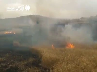 اصابت صاعقه، زمین‌های کشاورزی لالی را به آتش کشید