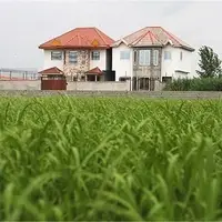 ساخت باغ‌ویلا بخش کشاورزی خوزستان را تهدید می‌کند