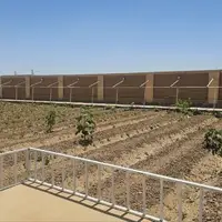 احداث نخستین باغ انگور مدرن در میبد 