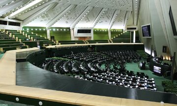 کیف نایب‌رئیس مجلس در صحن علنی سوژه عکاسان شد 