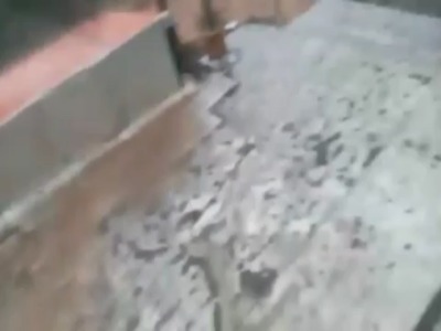 سیل در فاروج